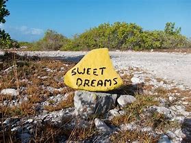 Image result for Recover Project Sweet Dreams