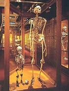 Image result for 9000 Year Old Skeleton Woman