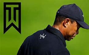 Image result for Tiger Woods New Logo