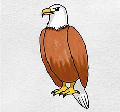 Image result for Simple Eagle Sketch
