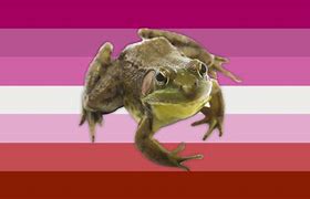 Image result for Baddie Frog
