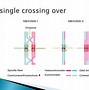 Image result for Single Crossing Over