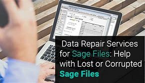 Image result for Sage Backup Files