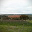 Image result for Hentley Farm Riesling Eden Valley