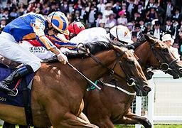 Image result for Ascot Horse Race