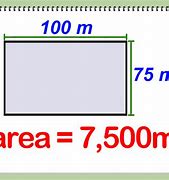 Image result for Example of One Square Meter