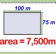 Image result for 10 Metre Square