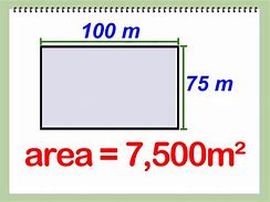 Image result for How Big Is 200 Square Meters