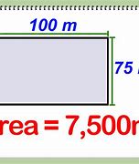 Image result for One Square Meter Examples