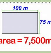 Image result for How Big Is 9 Square Meters