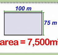 Image result for 60 000 Square Meters