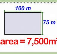 Image result for 5000 Square Meters Size
