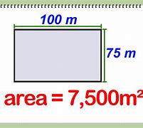 Image result for How Big Is per Square Meter