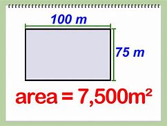 Image result for How Big Is 500 Square Meters