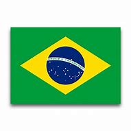 Image result for Brazil Olympics
