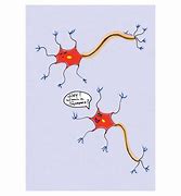 Image result for Neuron Jokes