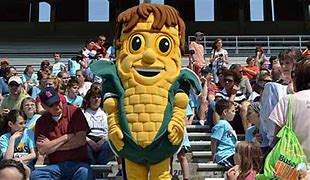 Image result for High School Mascot Costumes