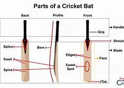 Image result for Parts of a Cricket Bat