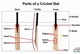 Image result for Cricket Equipment Diagram
