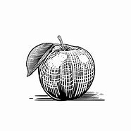 Image result for Apple Illustration Engraving