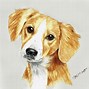 Image result for Painting Dogs in Colored Pencil