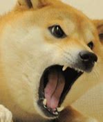 Image result for Screaming Doge Meme