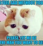 Image result for Sad Kitty Meme