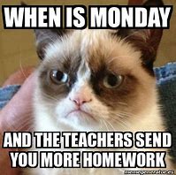 Image result for Grumpy Cat School Homework Memes