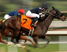 Image result for Horse Race Night Background