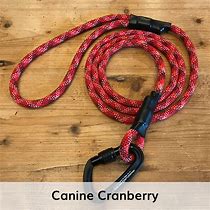 Image result for Carabiner Dog Leash