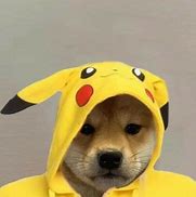 Image result for Cute Dog PFP with Hat