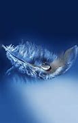 Image result for Original Blue Feathers iPhone 6 Wallpaper