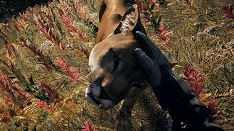 Image result for Far Cry 5 Peaches