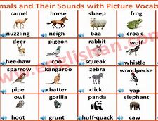 Image result for 100 Animals Sounds