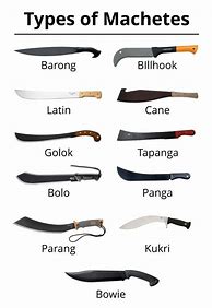 Image result for Types of Knives Weapons