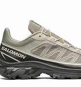 Image result for Salomon XT 6 FT