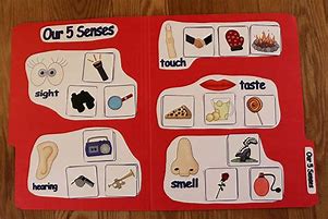 Image result for Five Senses Game