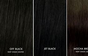 Image result for Jet Black vs Sable Color