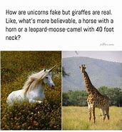 Image result for Unicorn and Giraffe Meme