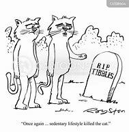 Image result for Dead Cat Cartoon