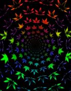 Image result for Trippy Mushroom Pot Leaf Wallpaper