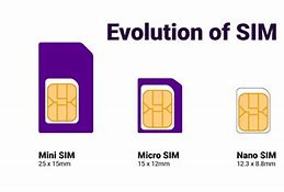 Image result for What Phone Supports Esim