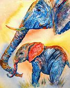 Image result for Elephant Spraying Abstract Water