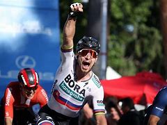 Image result for Peter Sagan Country