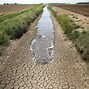 Image result for Agriculture Irrigation Pipe