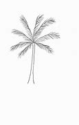 Image result for Palm Tree PNG Phone Case
