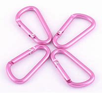 Image result for Pink Carabiner Keychain