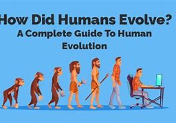 Image result for Human Evolution Model