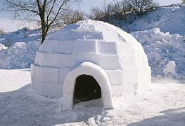 Image result for Igloo Living