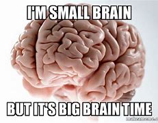 Image result for Brain Diagram Meme